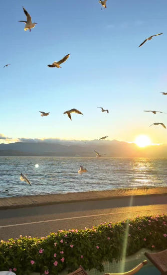 Cyclists riding along Erhai Lake ecological corridor near Caicun Pier