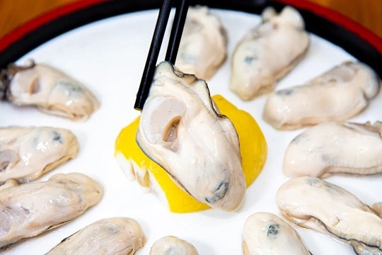 Huidong Oysters
